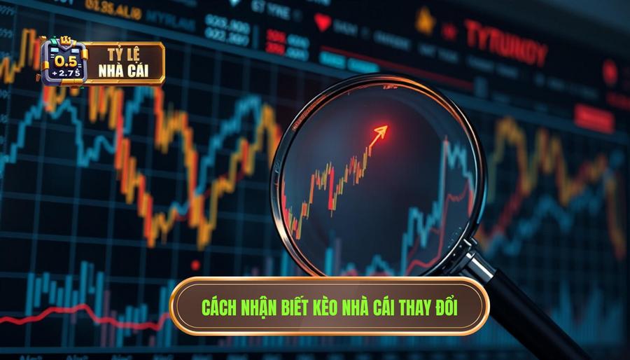 Các tín hiệu nhận biết kèo nhà cái thay đổi quan trọng nhất